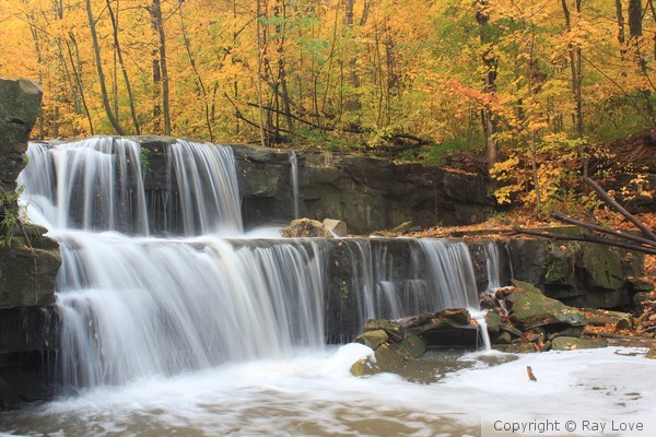 Little Davis with Fall Colors