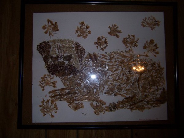 Pennee dried flowers and glue on paper 12X18