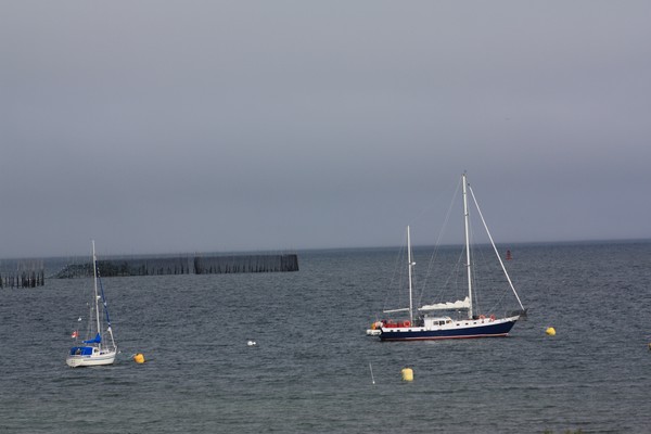 Boats in the water