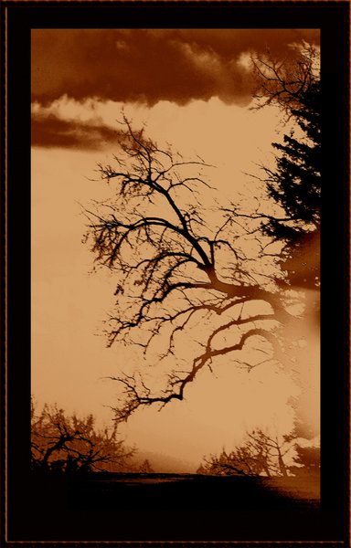 sunset sepia