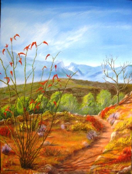 Sonoran Spring