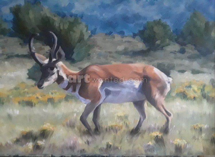 Antelope 7
