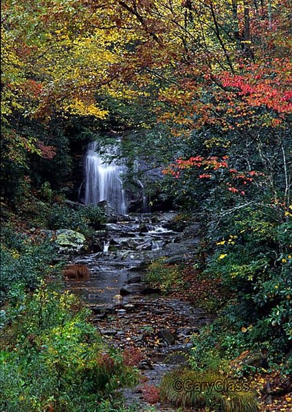 Colors of the Smokies