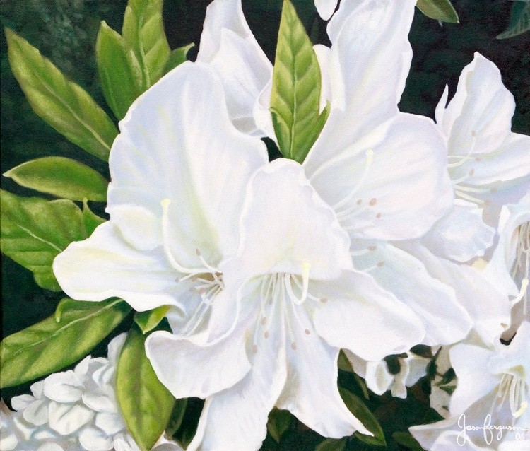 Azalea