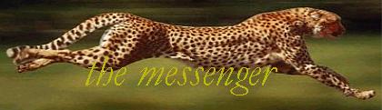 cheetahspeed