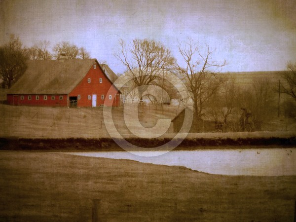 Barn and Pond