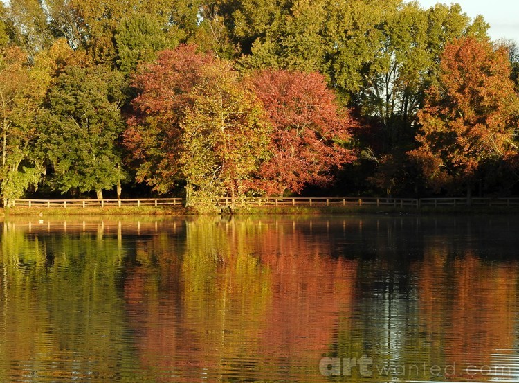 Fall Magic