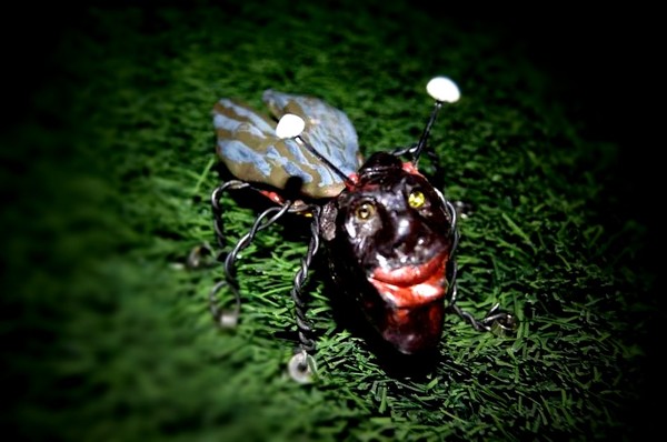 funky bug