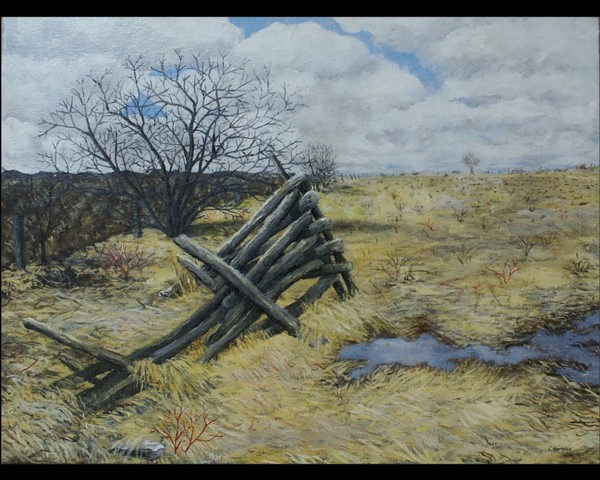 Meadow in Early Spring