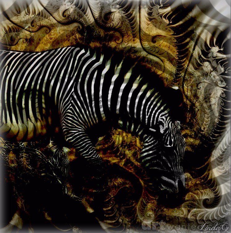 Zebra Survival