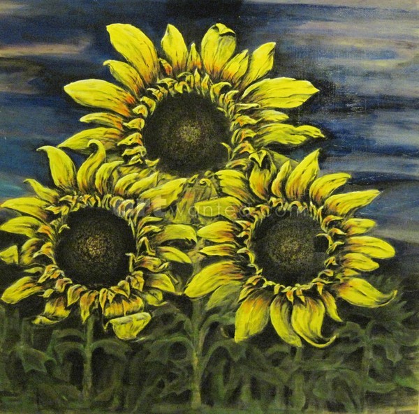 Sunflowers