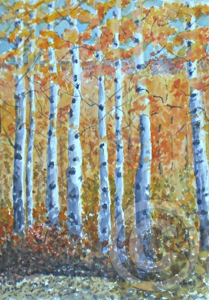 East Sierra Aspens