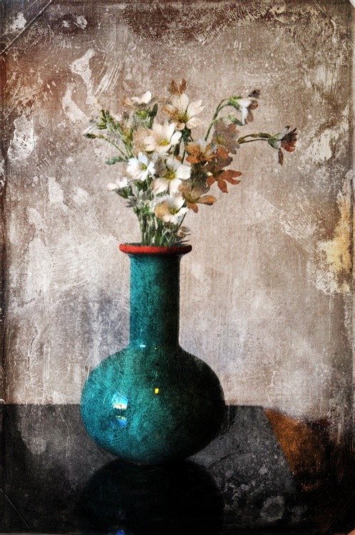 From the Garden