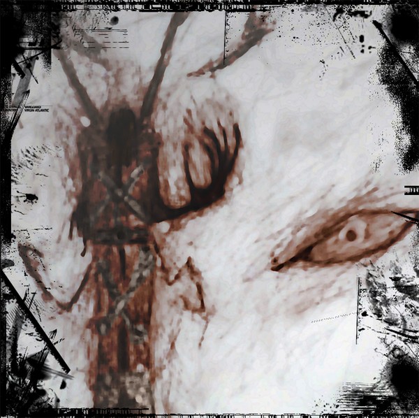 insect brain tumor