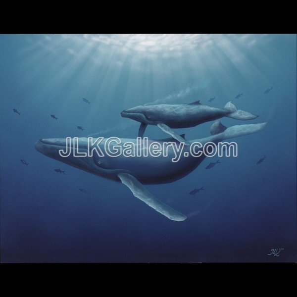Humpback Bond
