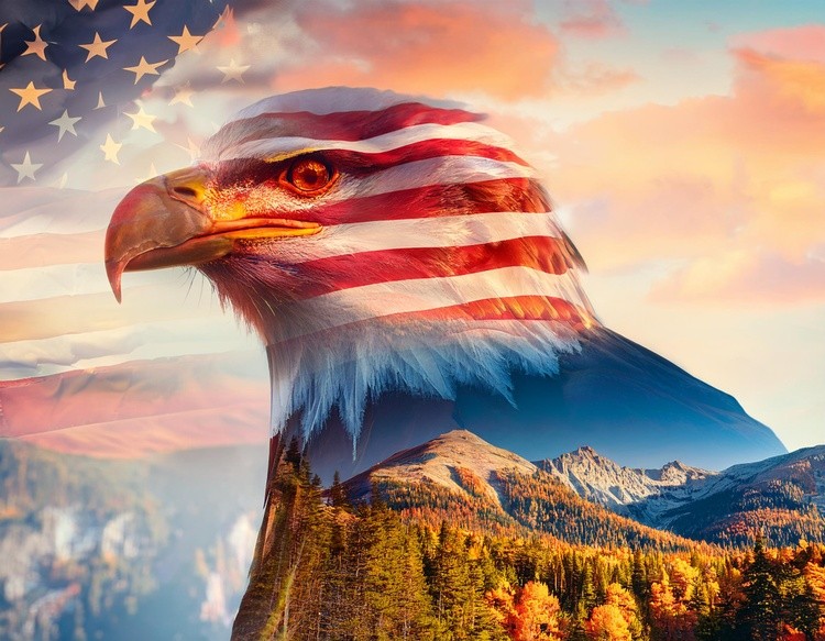  first image is a Majestic American Bald Eagle with American fl (27)