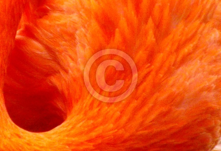08 DSCF3373