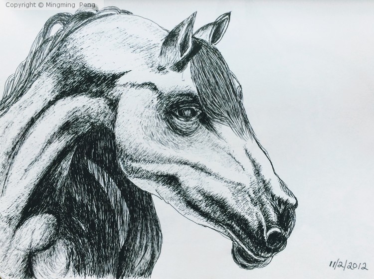 Sketch