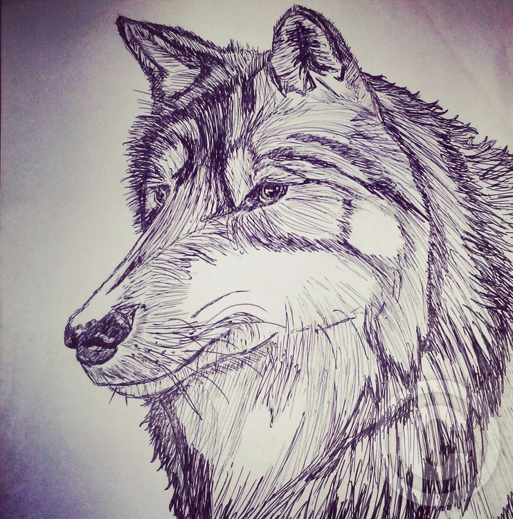 walf