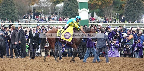 American Pharoah