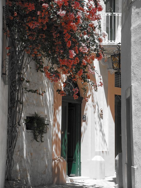 Village Alley