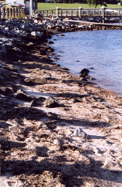endwater RI