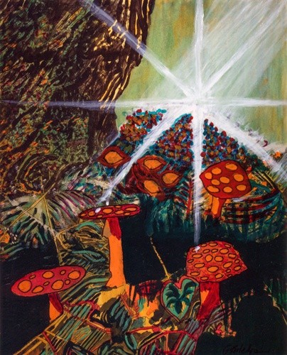 Star Forest