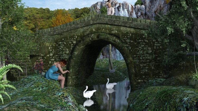 Swans