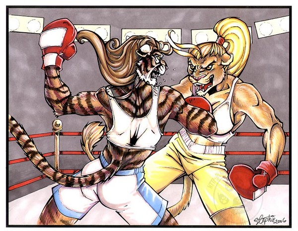 Boxing Feline Comission