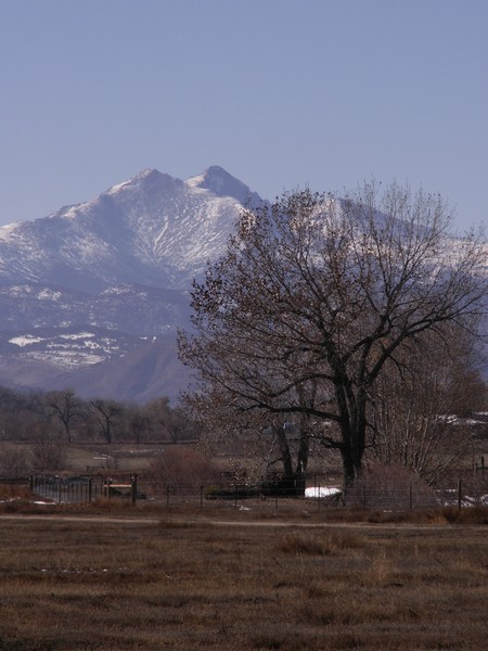 McIntosh View