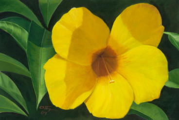 Yellow