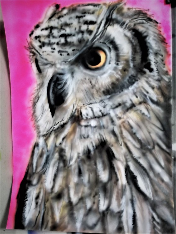 Owl  on A4  card (1)