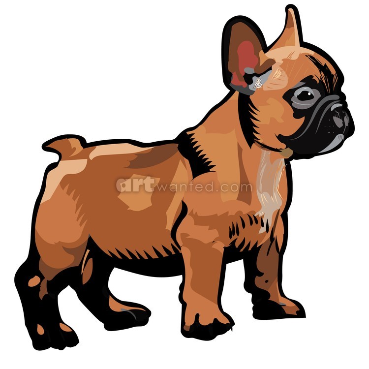 Frenchie