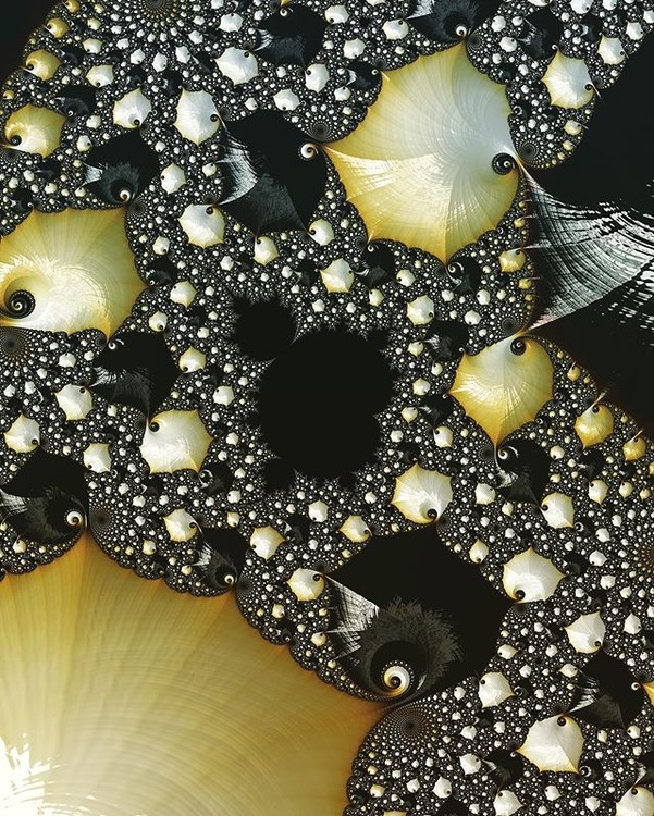 ??Valley of Gemstones??
~~~~~~~~~~~~~~~~~~~
#mandelbrot #fractals #fractaldesigners #julia #sacred