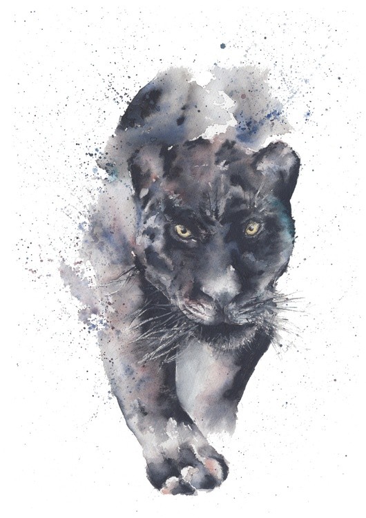 Panther