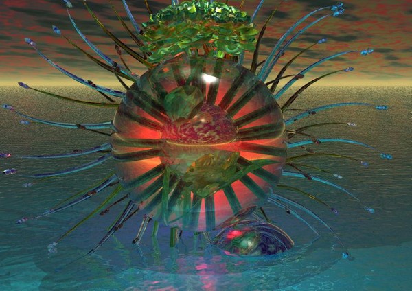 Seed