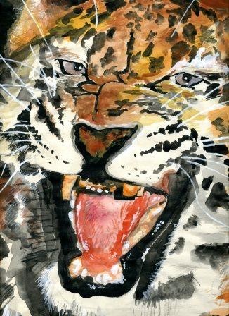 Leopard