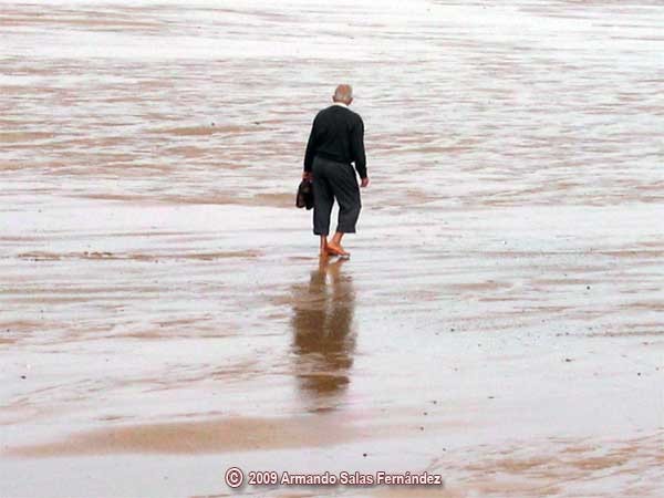 The old man and the sea