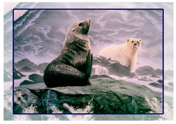 Bearly Consealed close up