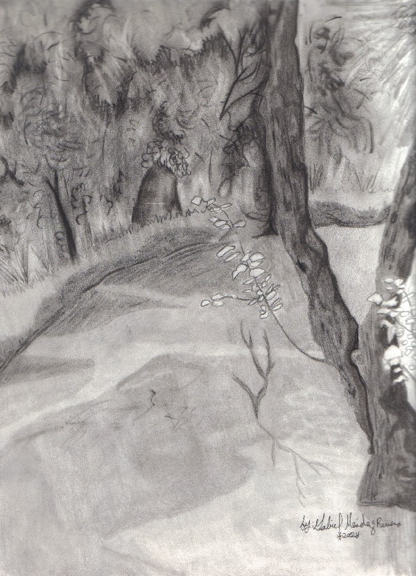 Forest Lake