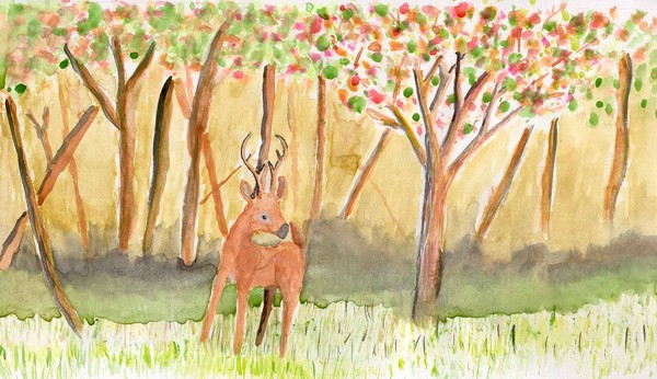 deerwood
