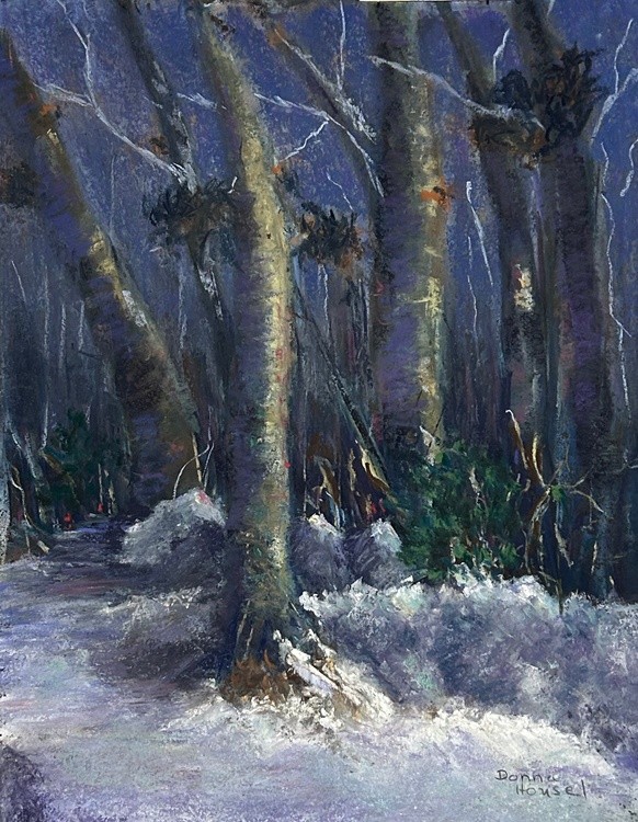 Frozen Journey