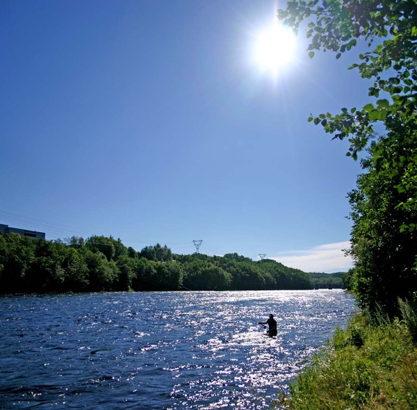 Salamonriver