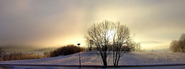 Winter fog