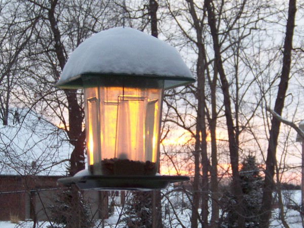 Spring Bird Feeder