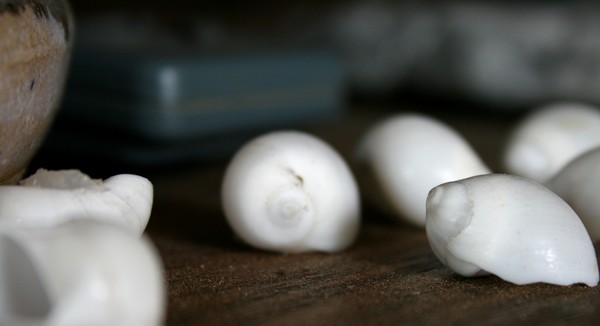 Like Pearls