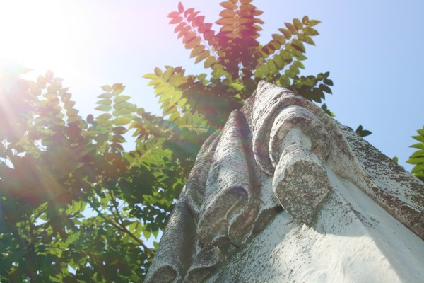 Grave in the sun