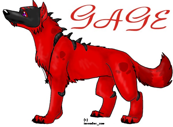 gage redo