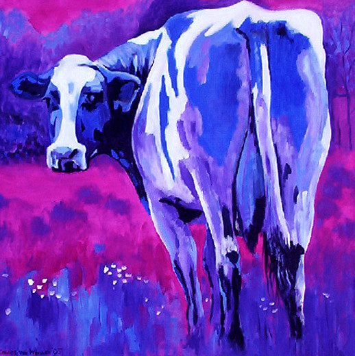 D153 cow 5