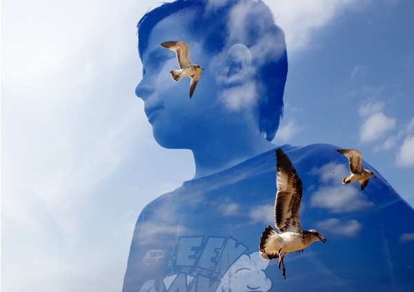 A Boy and Gulls